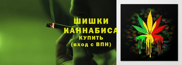 спайс Богданович