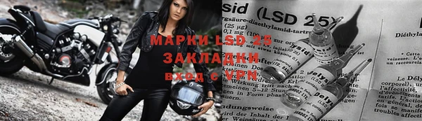 спайс Богданович