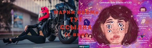 спайс Богданович