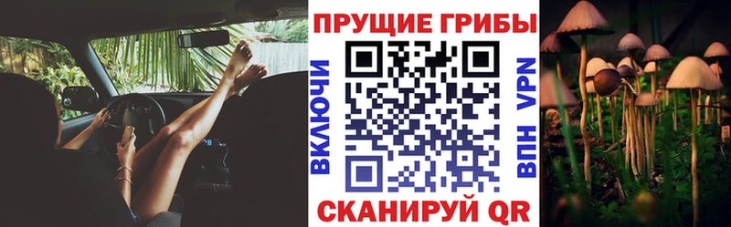 Галлюциногенные грибы Magic Shrooms  наркотики  Ярцево 